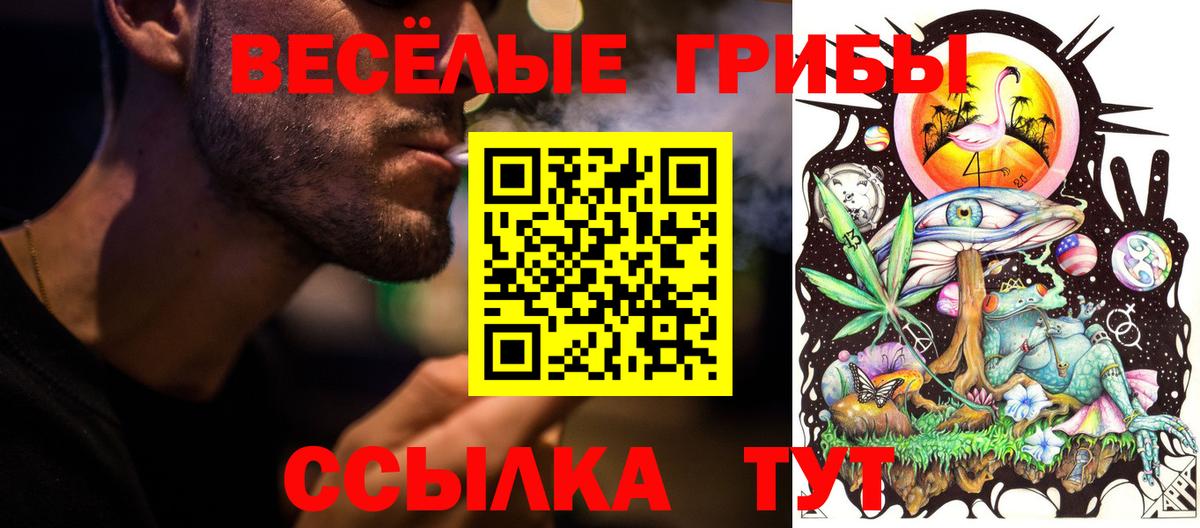 Псилоцибиновые грибы ЛСД  Галлюциногенные грибы Psilocybe  Тимашёвск  Вход с VPN 